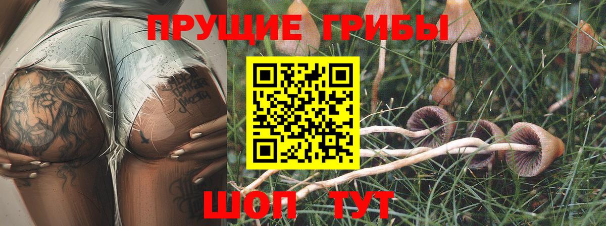 Псилоцибиновые грибы мухоморы  Вход с VPN  Кемерово 